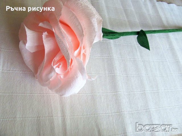Голяма роза хартия