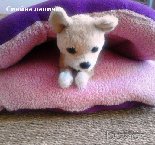 Чувалче за сгушване Куини за мини породите., снимка 6 - За кучета - 14935316