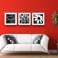 Сет картини Цветя в черно бяло #117, снимка 1 - Картини - 11337894