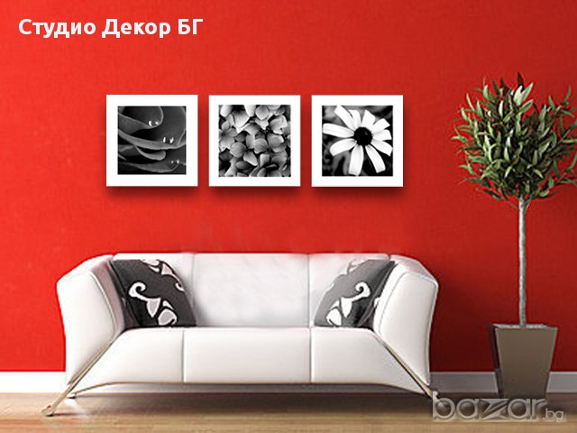 Сет картини Цветя в черно бяло #117, снимка 1