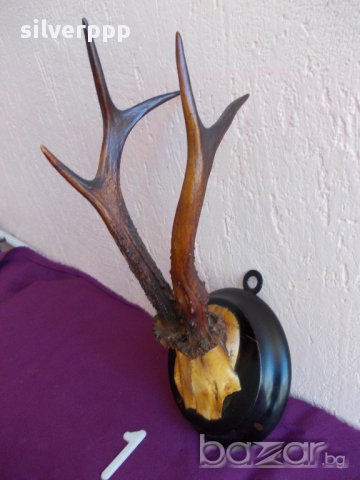 Трофей - 1, снимка 2 - Антикварни и старинни предмети - 17858127