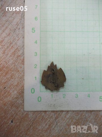 Значка "SINT GATA INTOTDEAUNA" пионерска румънска, снимка 2 - Други ценни предмети - 21626071