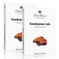 2 броя Камфорова гъба (Antrodia cinnamomea), 2 х 60 капсули, снимка 1 - Хранителни добавки - 24108563