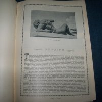 "Габрово през Възраждането" издание 1940г., снимка 3 - Други - 24231427