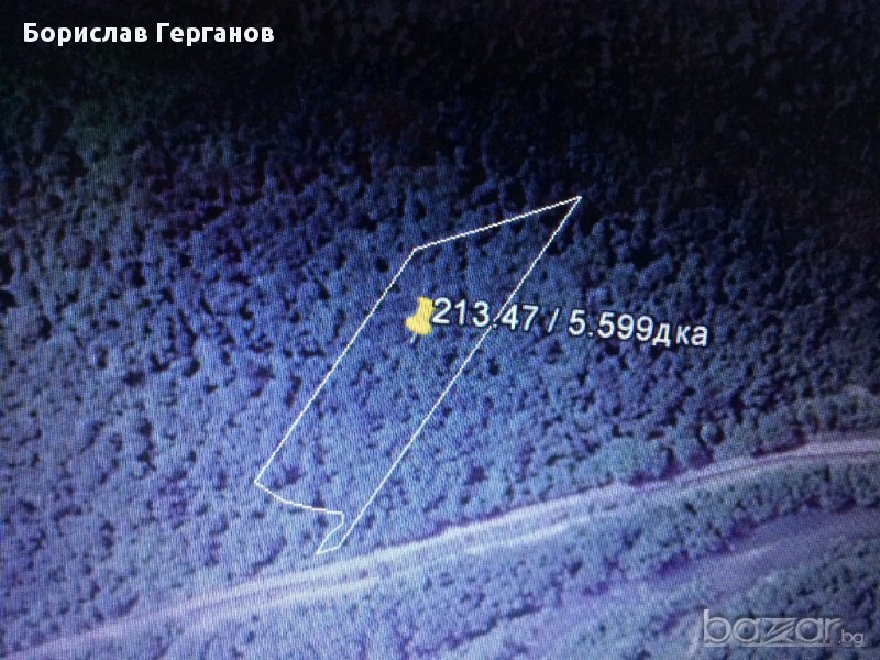 Продавам гора в с. Казачево, снимка 1