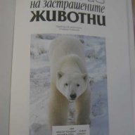 Книга "Атлас на застрашените животни-Стив Полък" - 64 стр., снимка 2 - Учебници, учебни тетрадки - 7988822