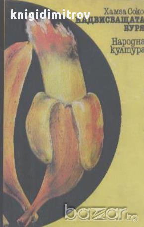 Надвисващата буря.  Хамза Соко, снимка 1