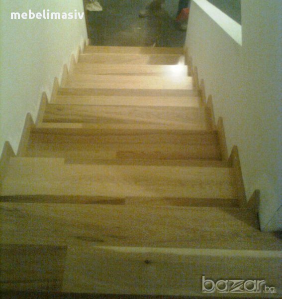  Стъпала Бук, Бреза, Елша , снимка 1