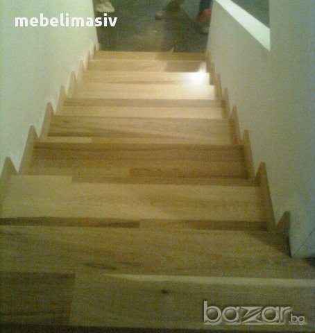  Стъпала Бук, Бреза, Елша 