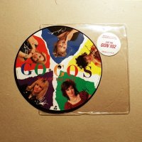 Vinyl-грамофонни плочи - MANFRED MANN / SANDii & THE SUNSETZ / GO GO'S - Picture Discs, снимка 5 - Грамофонни плочи - 16532730