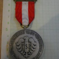 Медал "INTERNATIONALER VOLKSWANDERTTAG KAISERSLAUTERN", снимка 4 - Други ценни предмети - 9312160