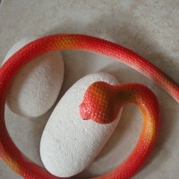" Червена змия "  - реалистична силиконова змия, снимка 4 - Други - 21533063