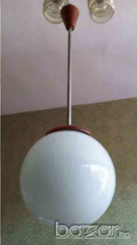 Полилей четри вида, снимка 4 - Полилеи - 15804371