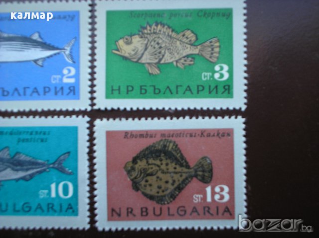 български пощенски марки - риби 1965, снимка 2 - Филателия - 13592685