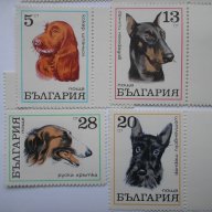 български пощенски марки - кучета 1970, снимка 3 - Филателия - 16737641