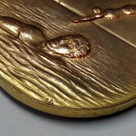 Медал Български народен морски сговор, снимка 7 - Антикварни и старинни предмети - 15876132