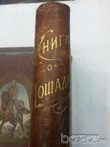 Много рядка книга Царска Русия''КНИГА ЗА КОНЕТЕ''Граф Врангел, снимка 4 - Антикварни и старинни предмети - 19413169