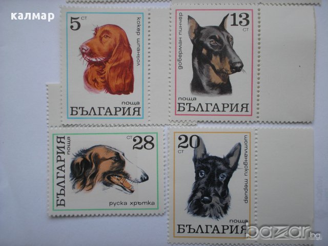 български пощенски марки - кучета 1970, снимка 3 - Филателия - 16737641