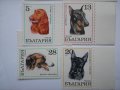 български пощенски марки - кучета 1970, снимка 3