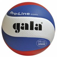 Топка за волейбол Gala Pro Line BV 5591 S  нова