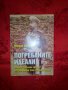 Погребаните идеали.Петте фатални грешки на Фердинанд Сакс Кобург Готски-Йордан Величков, снимка 1 - Художествена литература - 17267575