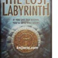 The Lost Labyrinth , снимка 1 - Други - 24456835