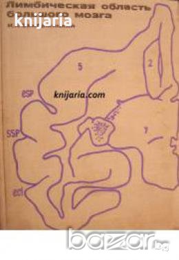 Лимбическая область большого мозга , снимка 1