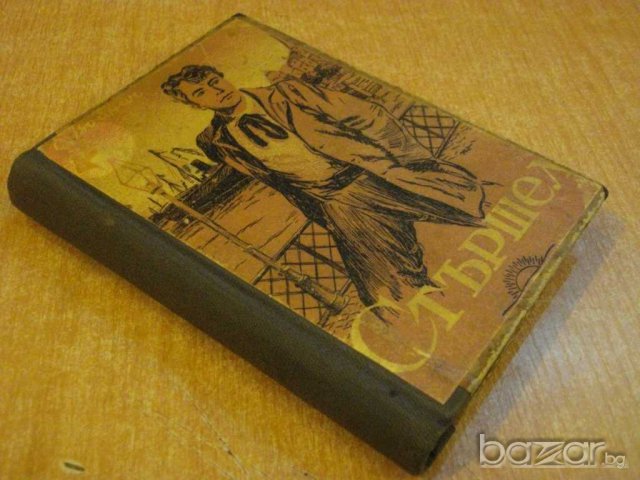 Книга "Стършел - Етел Войнич" - 300 стр., снимка 3 - Художествена литература - 7991686