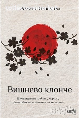 Вишнево клонче