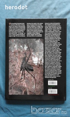ПРОМОЦИЯ! - Bruce Purser - Jungle Bugs in the Night, снимка 3 - Специализирана литература - 21079127