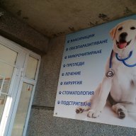 Ветеринарен кабинет ВЕТЕРИНО - Варна,Цветен квартал, снимка 4 - Ветеринари и услуги - 15365104