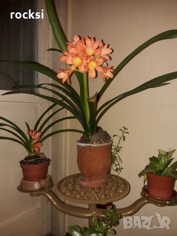 Арт стойка за цветя , свещи или друга декорация или вещи, снимка 16 - Декорация за дома - 23918389