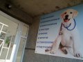 Ветеринарен кабинет ВЕТЕРИНО - Варна,Цветен квартал, снимка 4