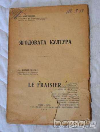 🍓 Ягодовата култура Агр. Цочо Спасовъ, снимка 1