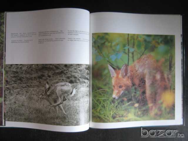 Книга "Белавежская пушча - Мiкалай Шарай" - 176 стр., снимка 4 - Художествена литература - 7905450