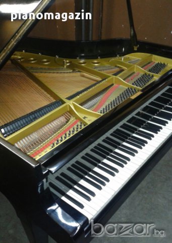 Пиано под наем, музикално оформление с пианист за събития, снимка 4 - Dj - 13563376