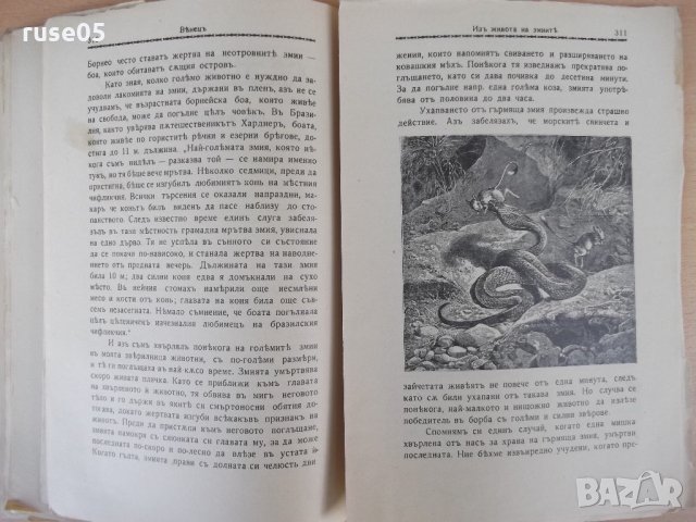 Списание "*Венецъ* - книжка 5 - февруарий 1937 г." - 64 стр., снимка 7 - Списания и комикси - 21817695