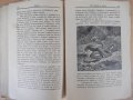 Списание "*Венецъ* - книжка 5 - февруарий 1937 г." - 64 стр., снимка 7