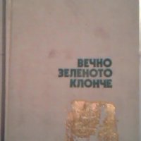 Вечно зеленото клонче - Драган Тенев, снимка 1 - Художествена литература - 24063368