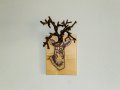 Стенен декор Еленска глава, подарък за ловец, ловен дом, хижа, битов кът. Трофей с рога от лоза,, снимка 1