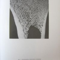 1971г. Медицинска Книга Анатомичен Атлас Том1-ви, снимка 5 - Други - 25936774
