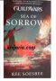 Guild Wars book 3: Sea of Sorrows 