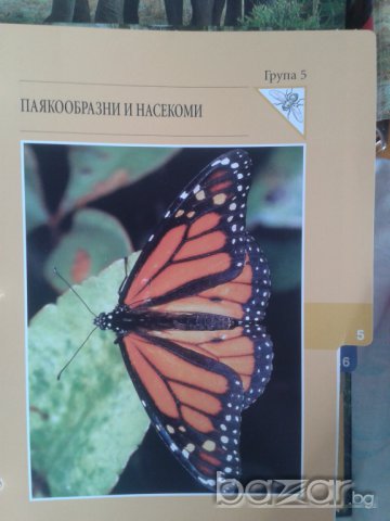 Енциклопедия Чудния свят на животните., снимка 15 - Колекции - 7575824