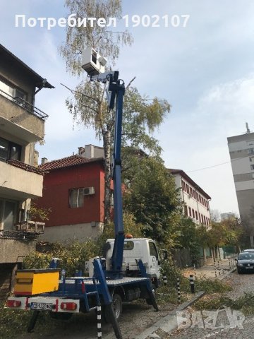 Рязане на опасни дървета , снимка 2 - Други услуги - 23208903