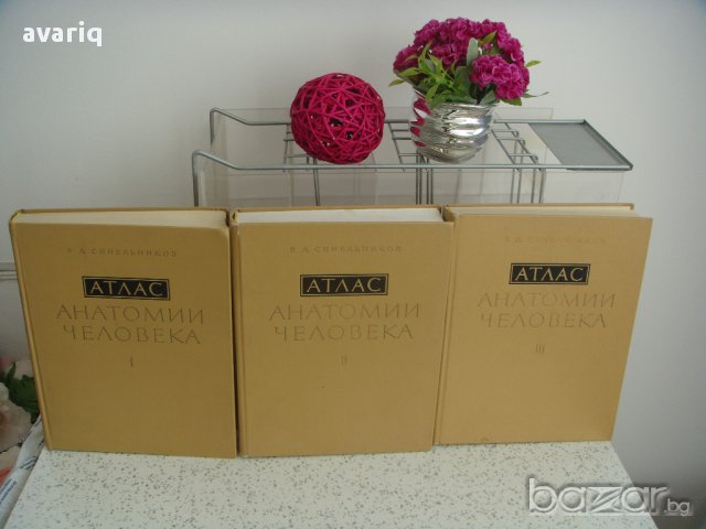 Атласи по анатомия на човека Синелников, снимка 2 - Енциклопедии, справочници - 16689471