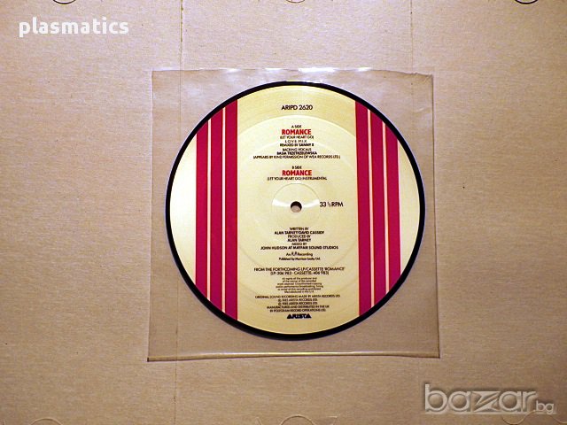 Vinyl-грамофонни плочи - MANFRED MANN / SANDii & THE SUNSETZ / GO GO'S - Picture Discs, снимка 16 - Грамофонни плочи - 16532730