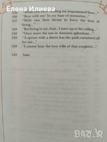 RUSSIAN 19th CENTURY VERSE: Selected Poems by eight Russian poets, снимка 13 - Художествена литература - 24050162