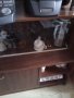 Шкаф-витрина за съдове,прибори и чаши, снимка 2