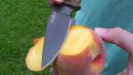Професионален ловен нож Gerber Myth Fixed Blade Pro, снимка 2