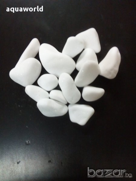 "ПРОМОЦИЯ" Грунд бял 12/20 мм, снимка 1